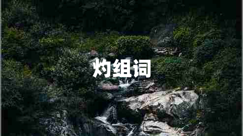 灼組詞