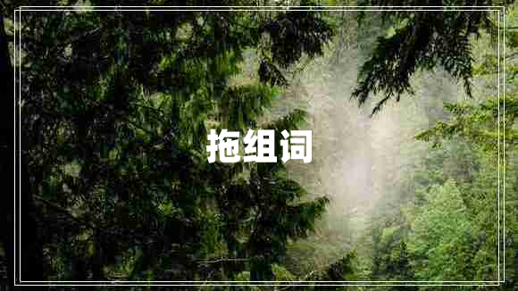 拖組詞