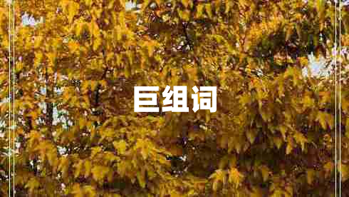 巨組詞