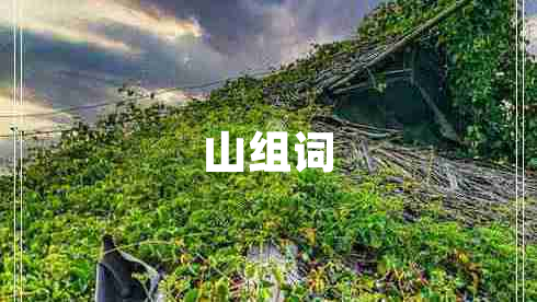 山組詞