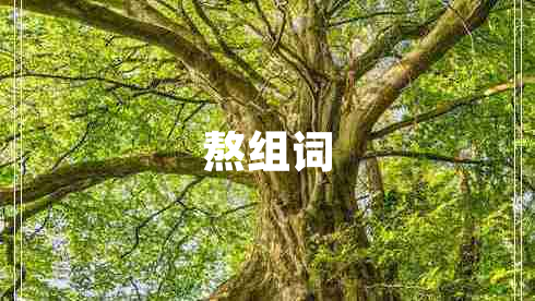 熬組詞