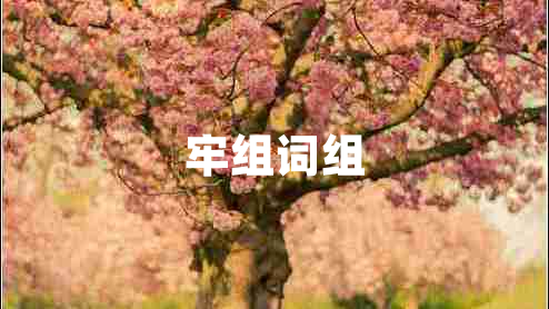 牢組詞組