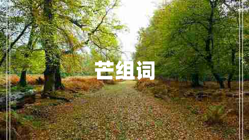 芒組詞