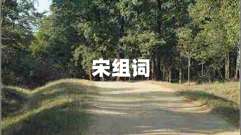 宋組詞