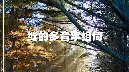 縫的多音字組詞