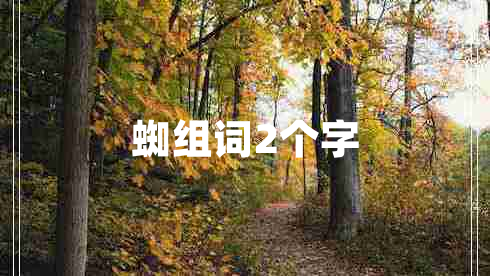 蜘組詞2個(gè)字
