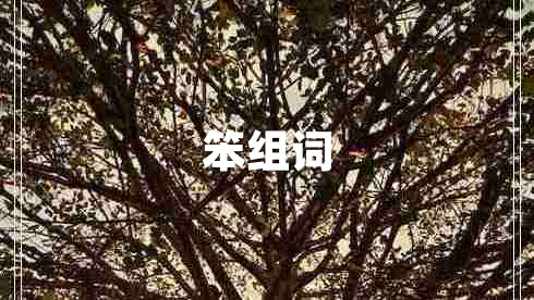 笨組詞