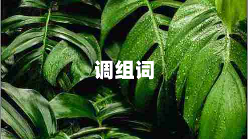 調組詞