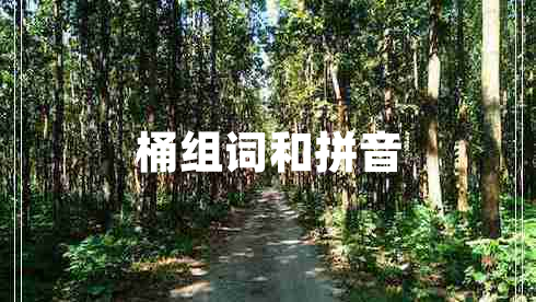 桶組詞和拼音