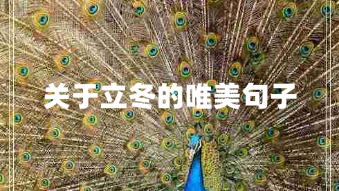 關(guān)于立冬的唯美句子