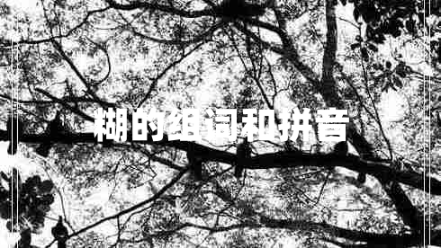 糊的組詞和拼音
