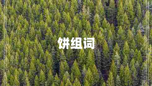 餅組詞