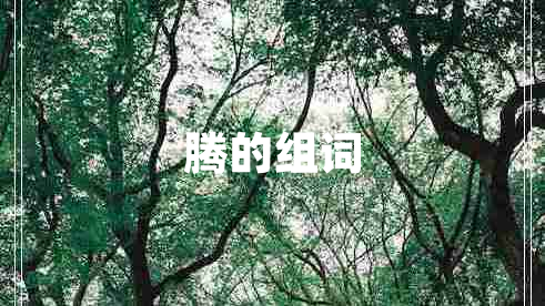 騰的組詞