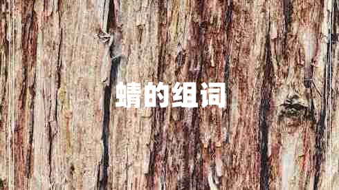 蜻的組詞