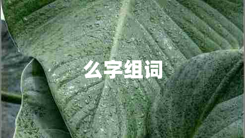 么字組詞