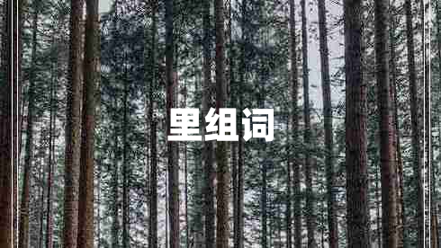 里組詞