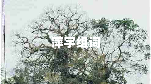萍字組詞