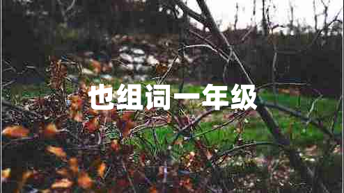 也組詞一年級