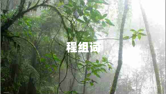程組詞