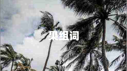 果組詞