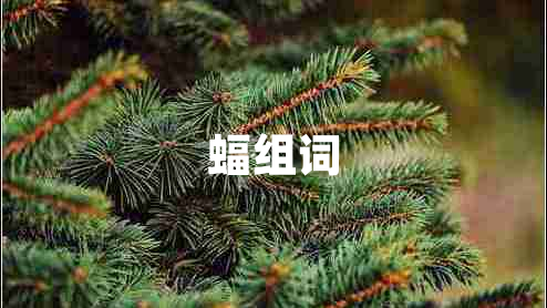 蝠組詞
