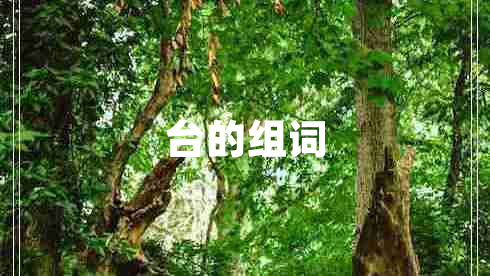 臺的組詞