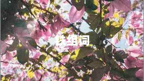 鐵組詞