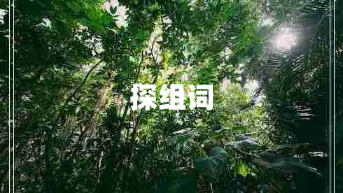 探組詞
