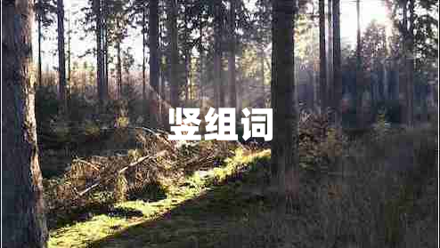 豎組詞