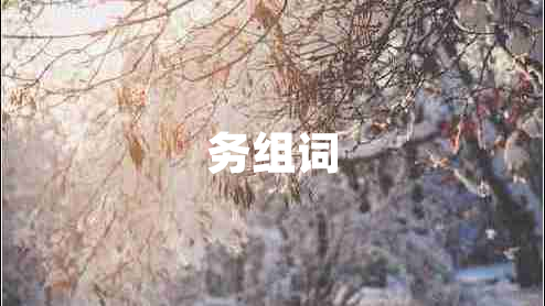 務(wù)組詞