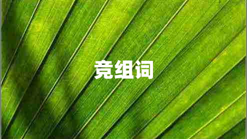 競組詞