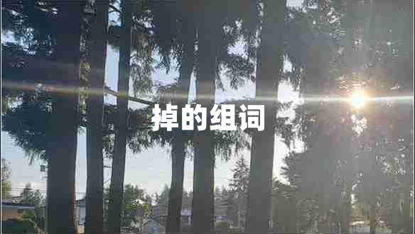 掉的組詞