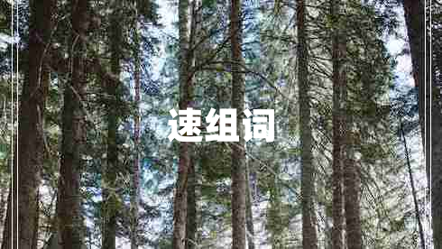速組詞
