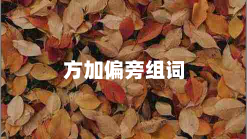 方加偏旁組詞