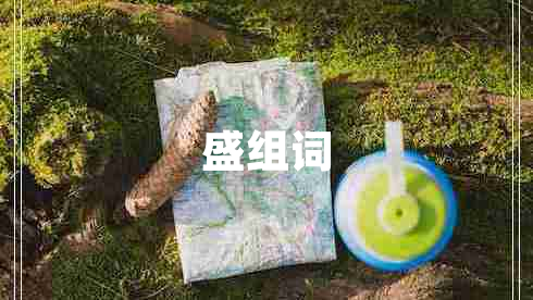 盛組詞