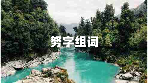 努字組詞
