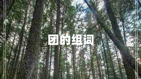 團的組詞