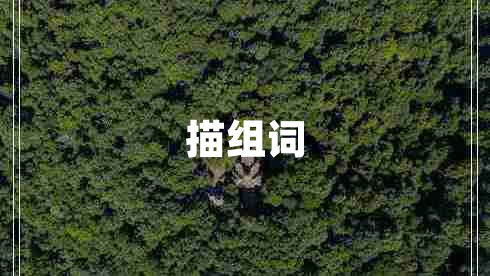 描組詞