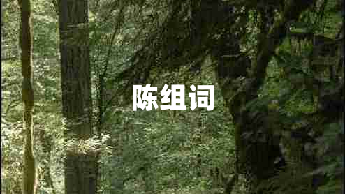 陳組詞