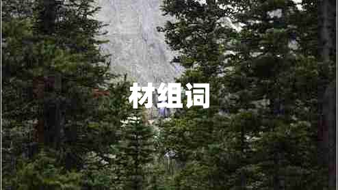 材組詞