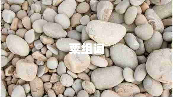 粟組詞