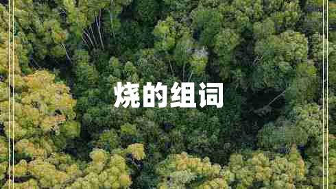 燒的組詞
