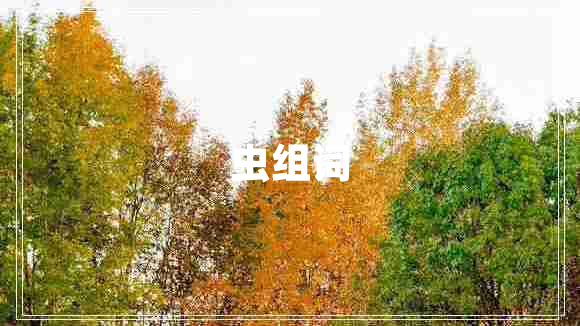 蟲(chóng)組詞