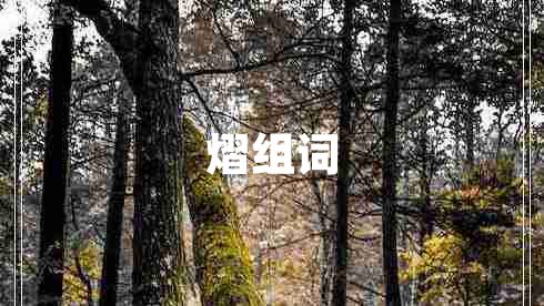 熠組詞