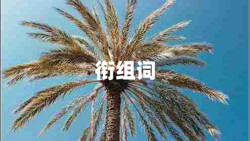 銜組詞