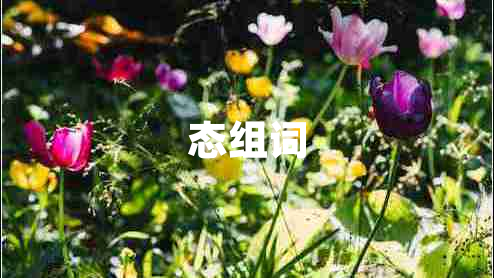 態(tài)組詞