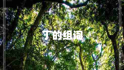 丁的組詞
