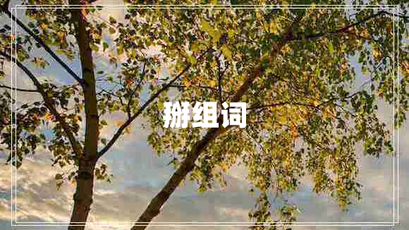 掰組詞