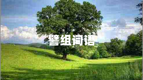 譬組詞語(yǔ)