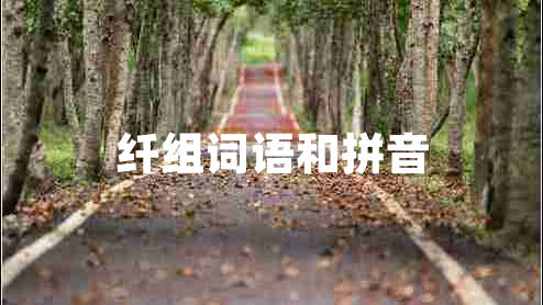纖組詞語(yǔ)和拼音